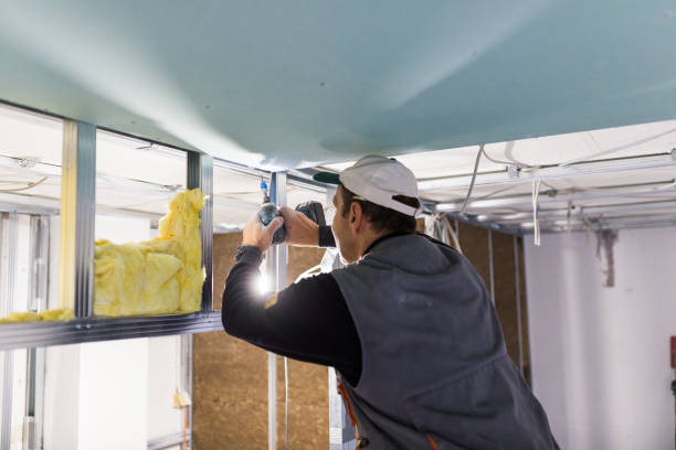 Best Insulation Removal Services  in Remgton, IN