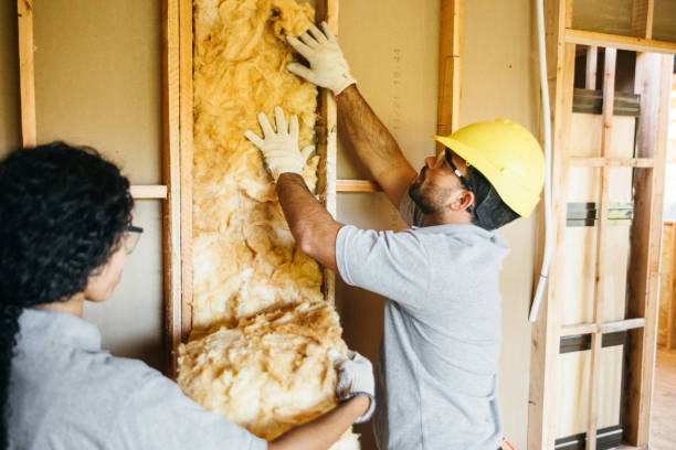 Best Attic Insulation Installation  in Remgton, IN