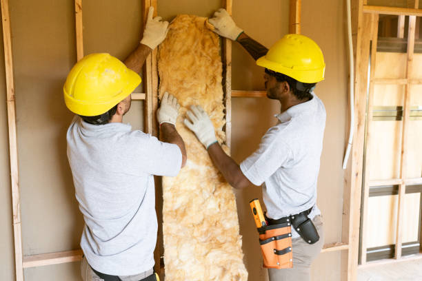 Best Insulation Repair Services  in Remgton, IN