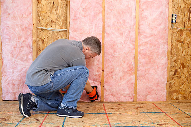 Best Soundproof Insulation Installation  in Remgton, IN