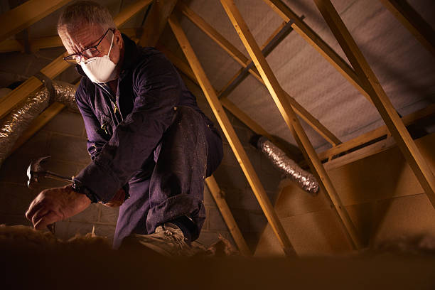 Best Residential Insulation Services  in Remgton, IN
