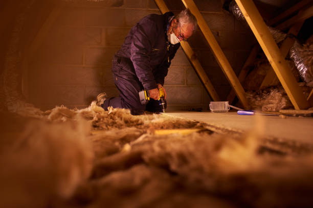 Best Insulation Inspection Services  in Remgton, IN