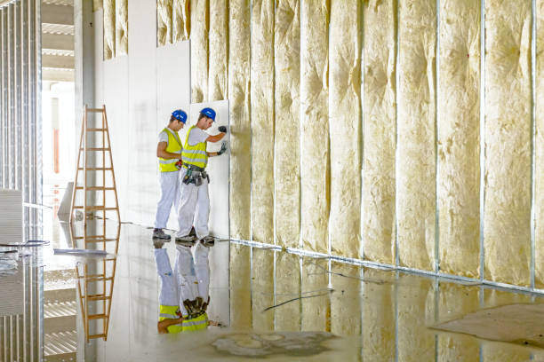 Best Garage Insulation Installation  in Remgton, IN